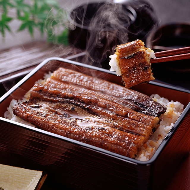 栃木県佐野市で本物の国産鰻の味を堪能する 鰻うおとよ